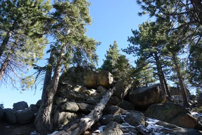 DSC_5097 (Large).JPG